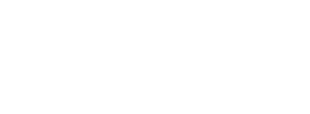 Left Lane Associates
